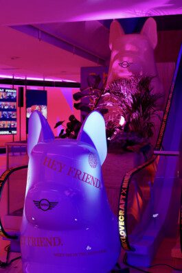 NICO MAURICE SCHRÖDER