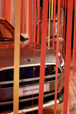 NICO MAURICE SCHRÖDER