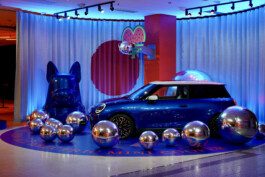 NICO MAURICE SCHRÖDER