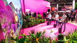 NICO MAURICE SCHRÖDER