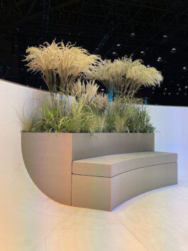 NICO MAURICE SCHRÖDER