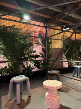 NICO MAURICE SCHRÖDER