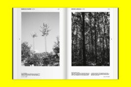 NICO MAURICE SCHRÖDER