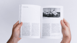 NICO MAURICE SCHRÖDER