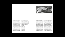 NICO MAURICE SCHRÖDER