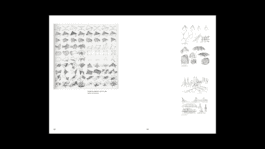 NICO MAURICE SCHRÖDER