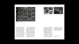 NICO MAURICE SCHRÖDER