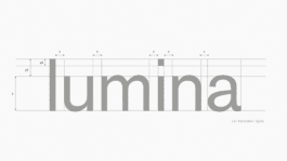 NICO MAURICE SCHRÖDER