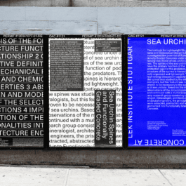 NICO MAURICE SCHRÖDER