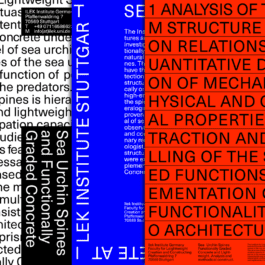 NICO MAURICE SCHRÖDER