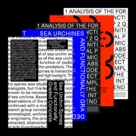 NICO MAURICE SCHRÖDER