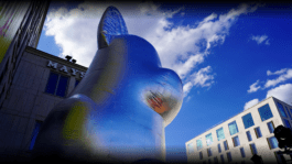 NICO MAURICE SCHRÖDER