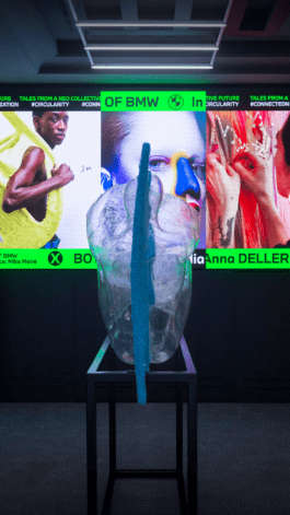 NICO MAURICE SCHRÖDER