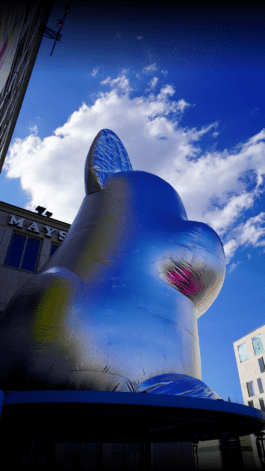 NICO MAURICE SCHRÖDER