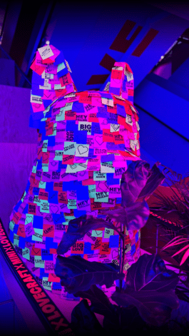 NICO MAURICE SCHRÖDER