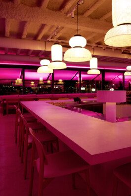 NICO MAURICE SCHRÖDER