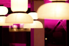 NICO MAURICE SCHRÖDER