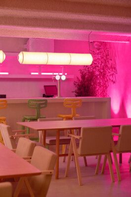 NICO MAURICE SCHRÖDER