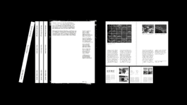 NICO MAURICE SCHRÖDER